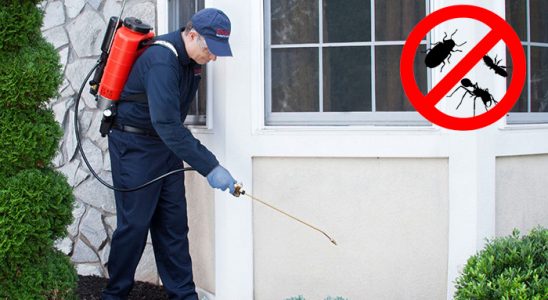 Perşembe Böcek İlaçlama böcek ilaçlama ve haşere kontrolü — ilaclama-tr.com